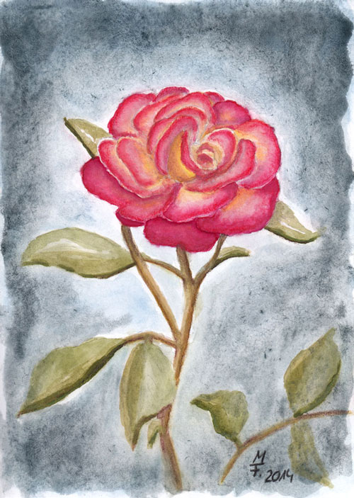 Aquarell Rose