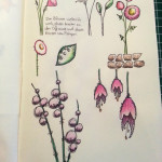 Skizzenbuch Blumen stilisiert