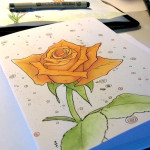 Aquarell Rose in Orange