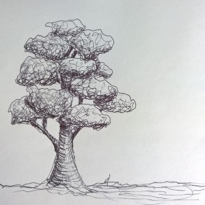 Sketch - Baum